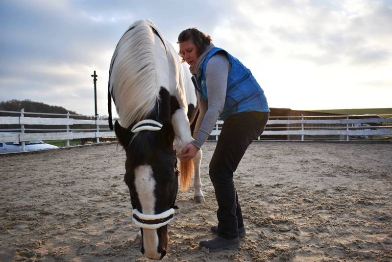 Claudia Laubenthal bei der Physiotherapie mit einem Pferd